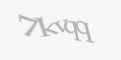 Защитный код